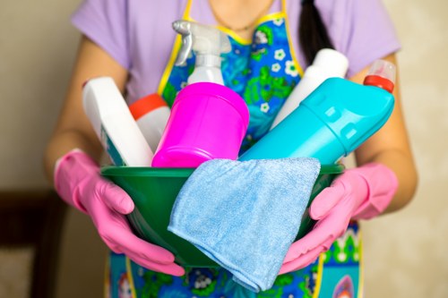 Professional carpet cleaning process in a home living room