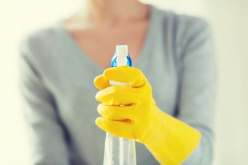 Professional deep cleaning for pet odour removal